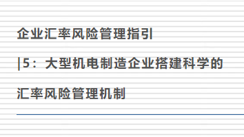 企业汇率风险管理指引|5：大型机电制造企业搭建科学的汇率风险管理机制